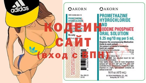 индика Аркадак